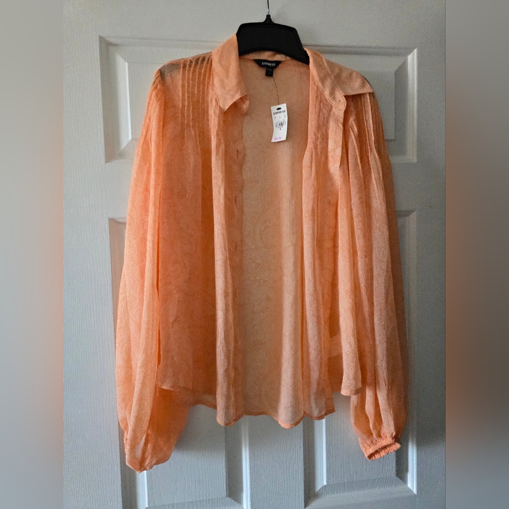 Express Sheer Paisley Balloon Sleeve Portofino Shirt - Size Medium NWT